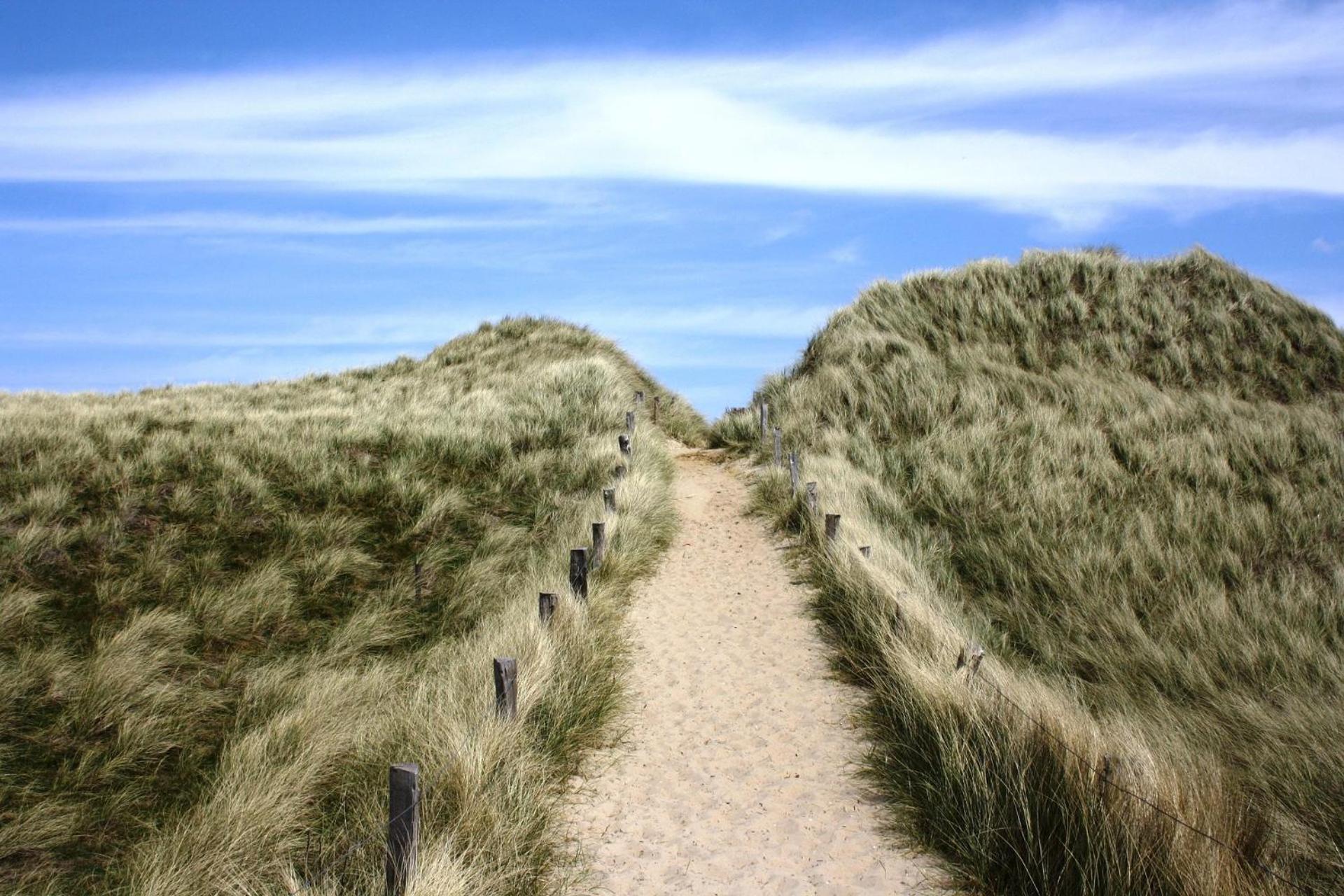 Apartment Sylt 2 *